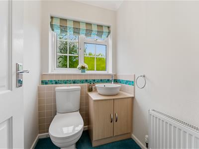 Picture 20